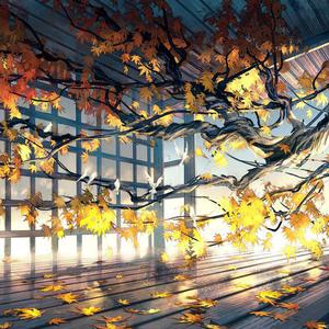 三级片视频播放
